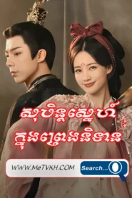 Sobin Sne Knong Preng Nitean