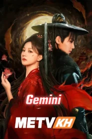Gemini-END28